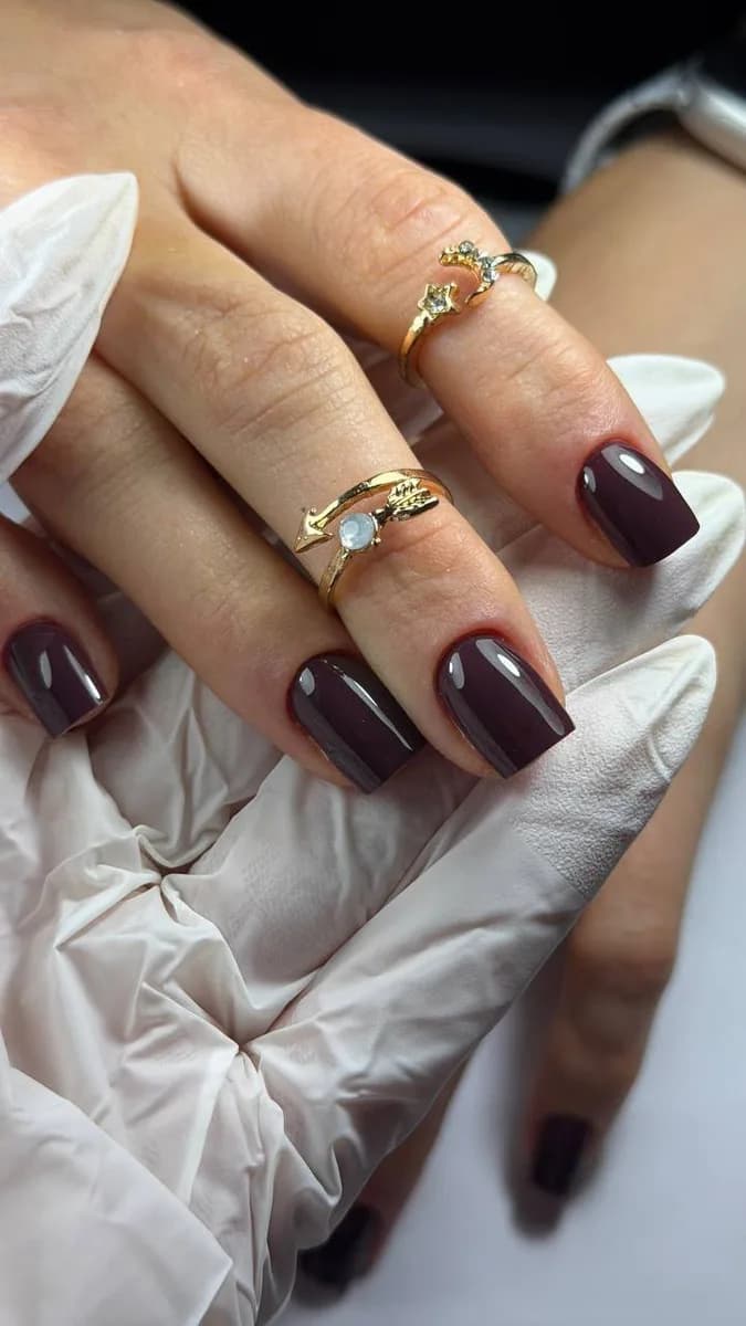 Esmaltado burdeos con anillos dorados